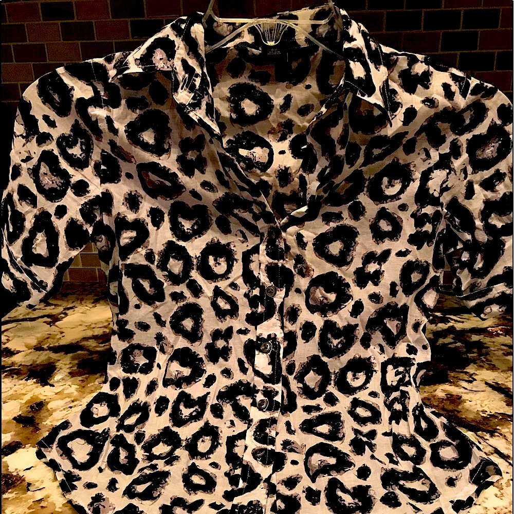 ANN TAYLOR SHORT SLEEVE BLOUSE